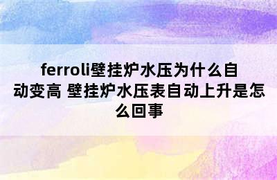 ferroli壁挂炉水压为什么自动变高 壁挂炉水压表自动上升是怎么回事